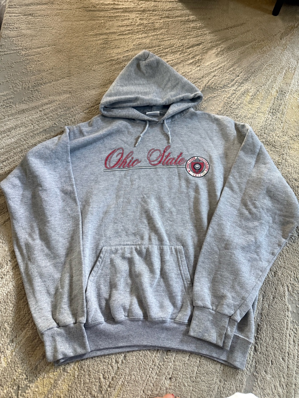 Vintage Ohio State University Hoodie Sweatshirt gray pullover XL
